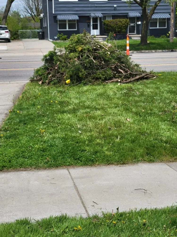 Reliable landscaping services for outdoor upgrades in Detroit, MI by C.L.S. Lawn Care Services