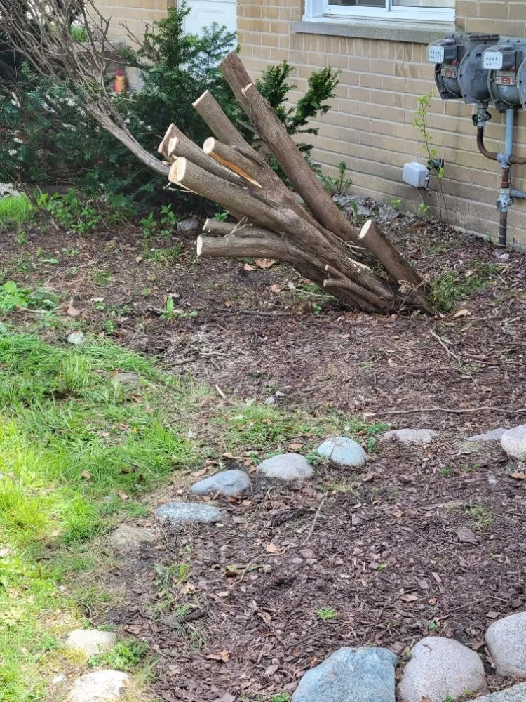 Custom landscape design in Detroit, MI by C.L.S. Lawn Care Services