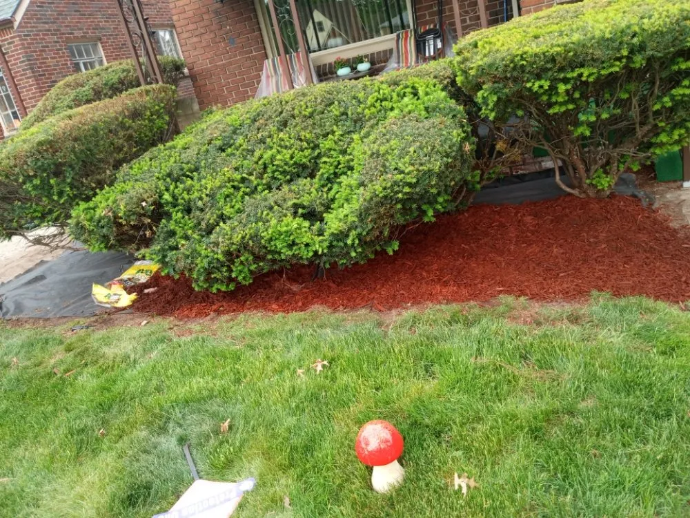 Professional yard maintenance in Detroit, MI by C.L.S. Lawn Care Services