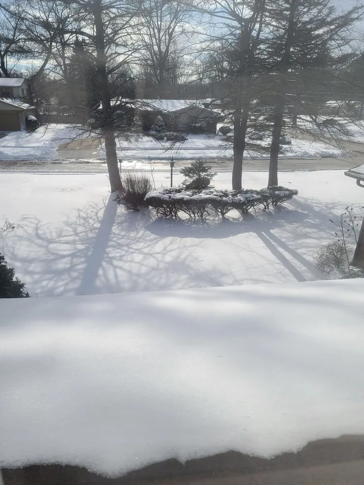 Local lawn care service experts serving Detroit, MI - C.L.S. Lawn Care Services