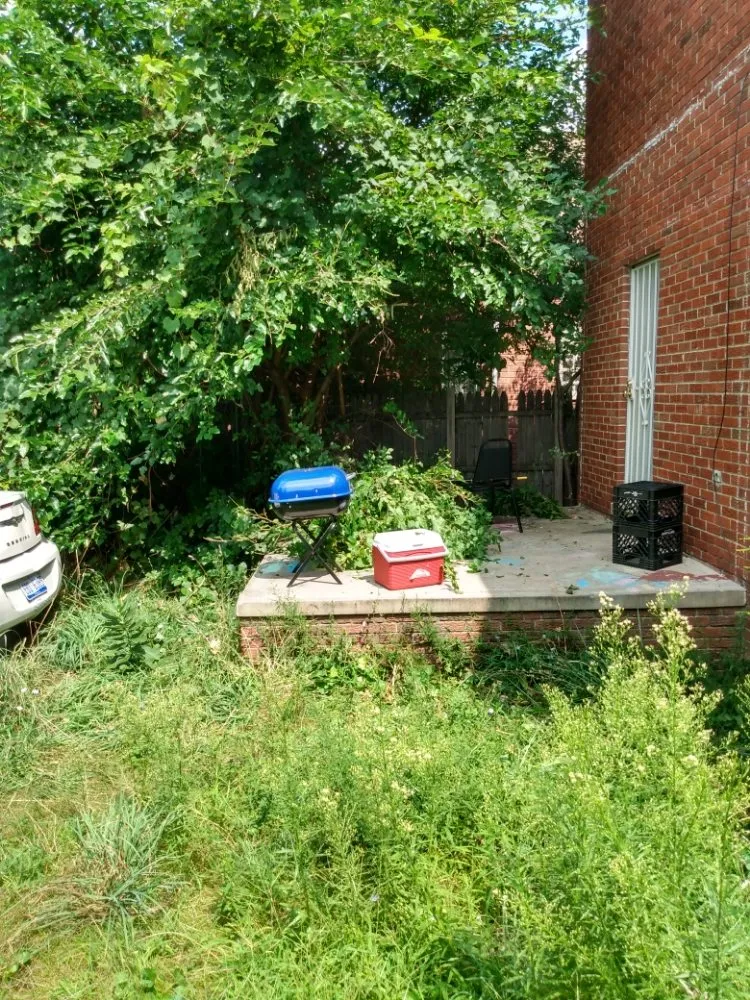 Affordable landscaping services for beautiful yards in Detroit, MI by C.L.S. Lawn Care Services