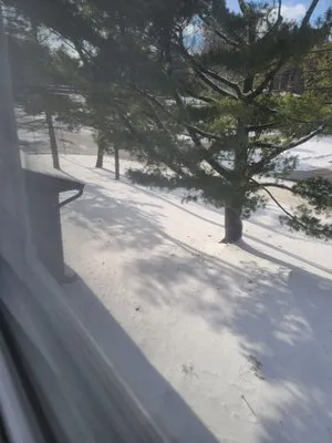 C.L.S. Lawn Care Services Logo