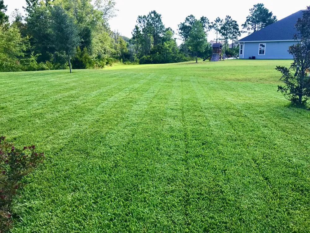 Professional landscaping services experts serving Fernandina Beach, FL - CLS Lawn