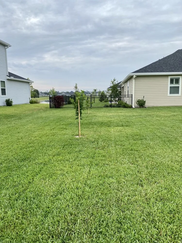 Affordable lawn mowing service with custom design in Fernandina Beach, FL by CLS Lawn