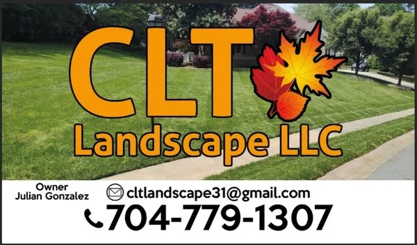 CLT Landscape