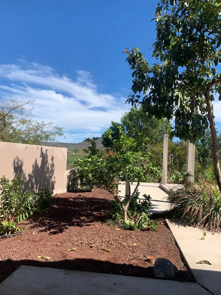 Expert yard cleanup service in Kennewick, WA by CLT Landscaping