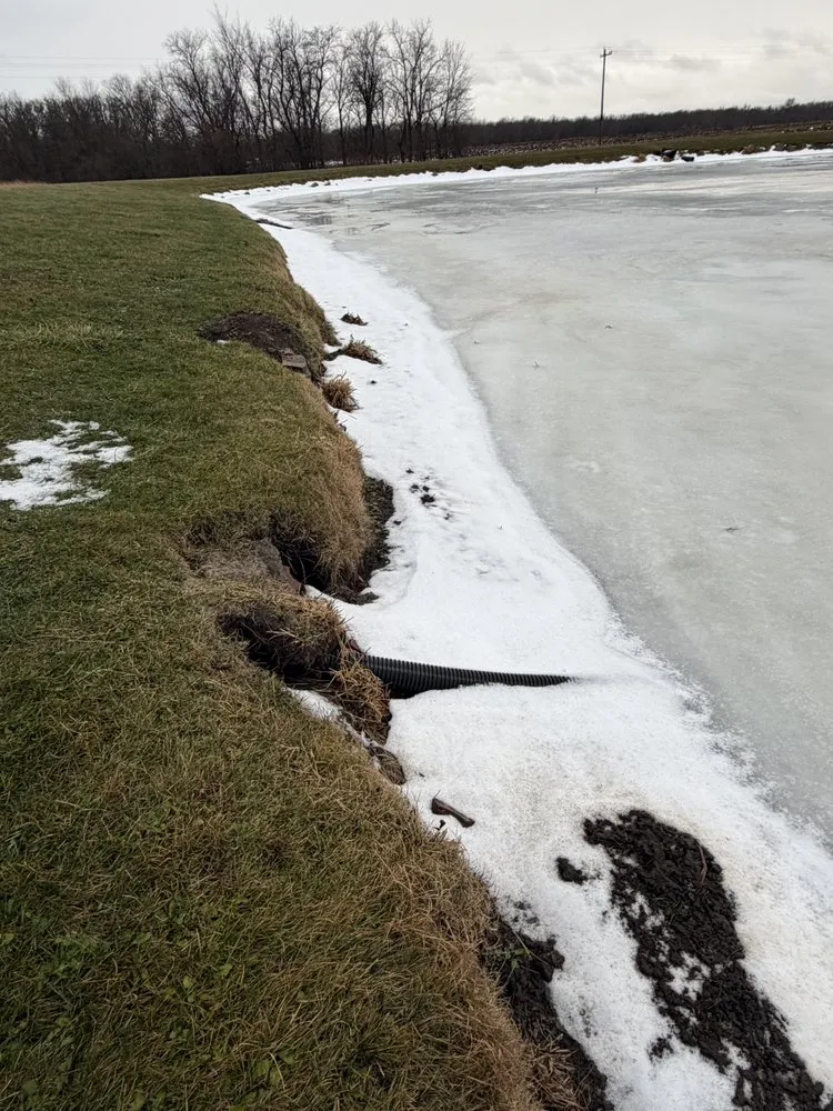 Reliable yard maintenance in Fairfield, IA - Clubb’s Trucking