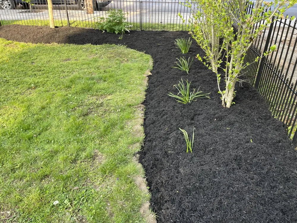Trusted yard maintenance in Aspers, PA - Clucks Clippings