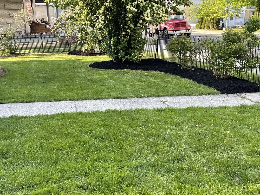 Trusted yard cleanup service near you in Aspers, PA by Clucks Clippings