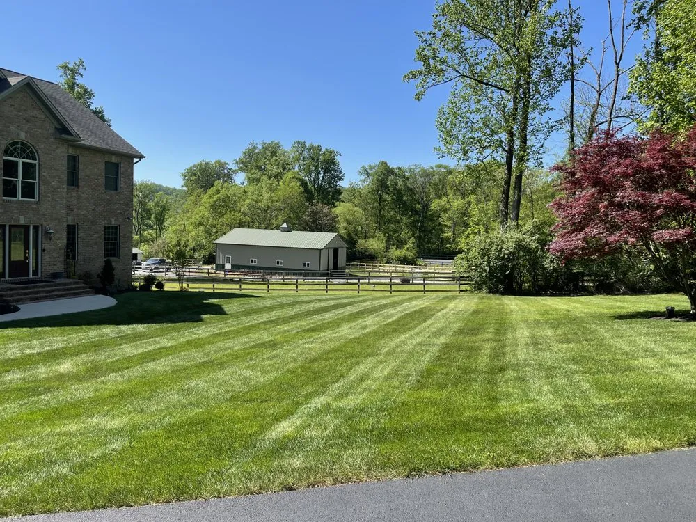 Affordable yard cleanup service experts serving Aspers, PA - Clucks Clippings