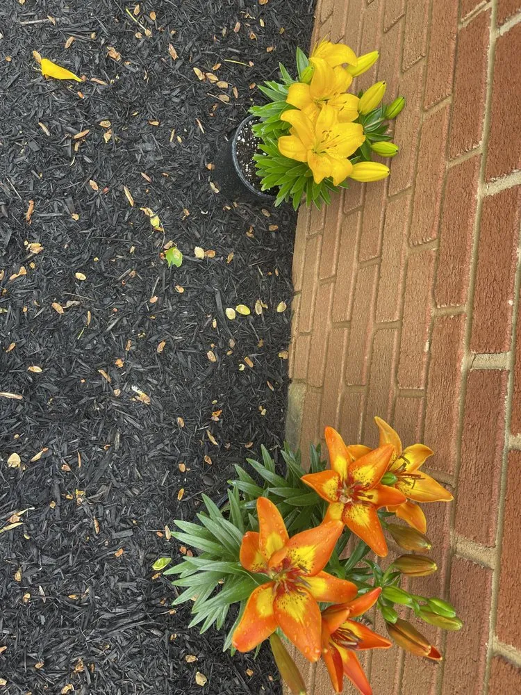 Reliable landscape installation in Aspers, PA by Clucks Clippings