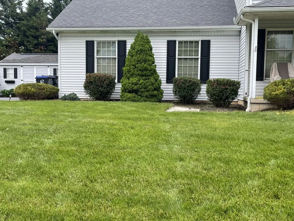 Custom lawn care service experts serving Aspers, PA - Clucks Clippings