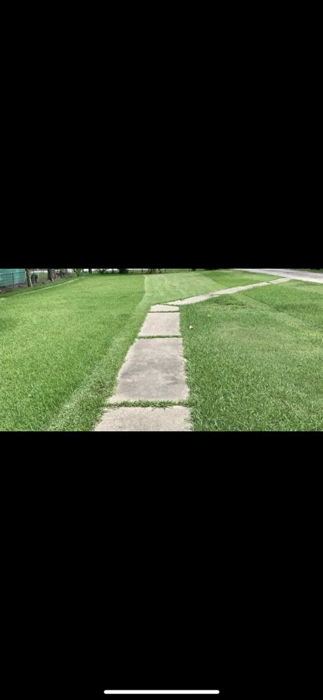 Reliable landscape installation for beautiful yards in Houston, TX by Clutch City Pressure Washing and Lawn Service
