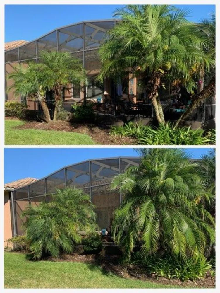 Expert yard cleanup service with custom design in Auburndale, FL by Clutch Concrete And Landscaping