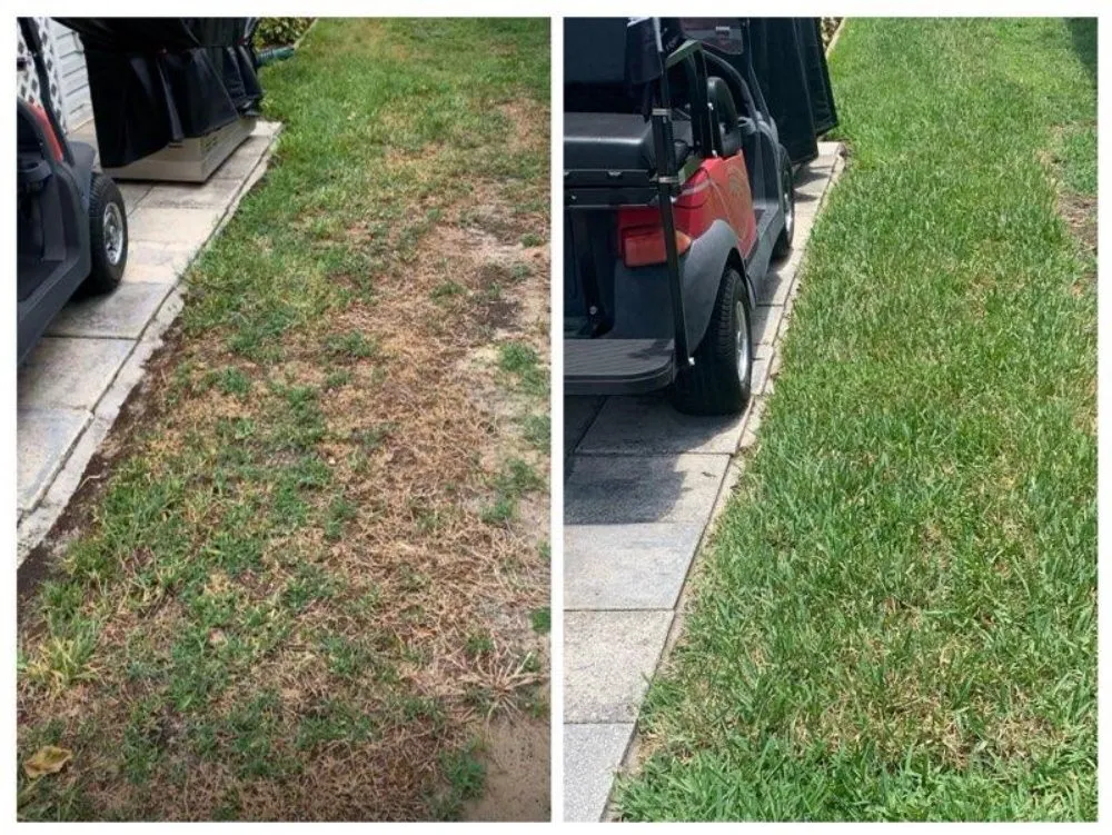 Professional outdoor landscaping in Auburndale, FL by Clutch Concrete And Landscaping