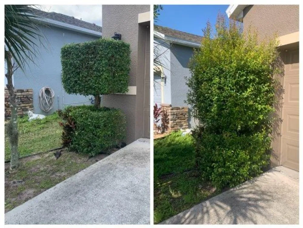 Trusted lawn mowing service in Auburndale, FL - Clutch Concrete And Landscaping