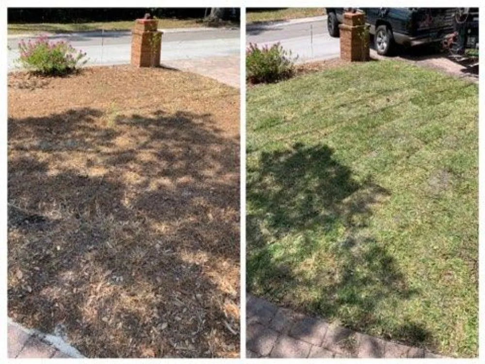 Custom garden landscaping with custom design across Auburndale, FL - Clutch Concrete And Landscaping