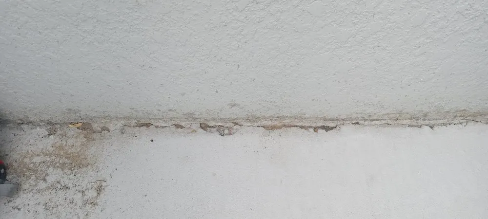 Reliable landscape design in Auburndale, FL - Clutch Concrete And Landscaping