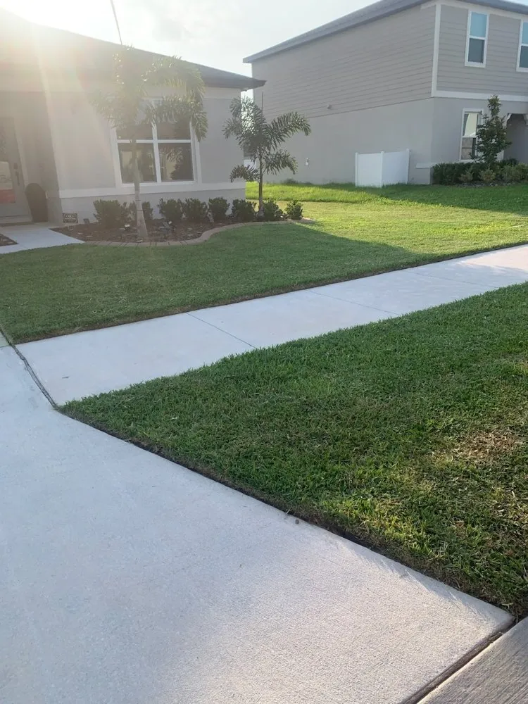 Reliable yard cleanup service experts serving Auburndale, FL - Clutch Concrete And Landscaping