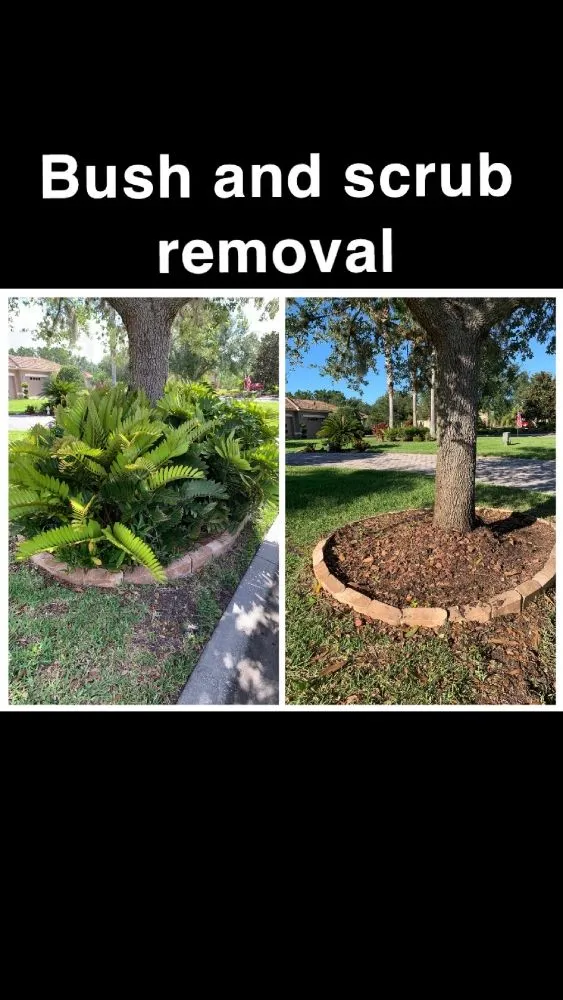 Local yard maintenance in Auburndale, FL by Clutch Concrete And Landscaping