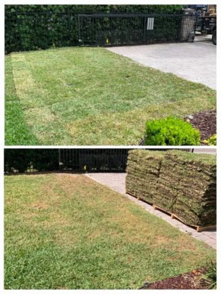 Professional landscape design in Auburndale, FL - Clutch Concrete And Landscaping