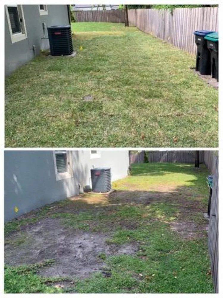 Affordable yard maintenance for residential properties across Auburndale, FL - Clutch Concrete And Landscaping
