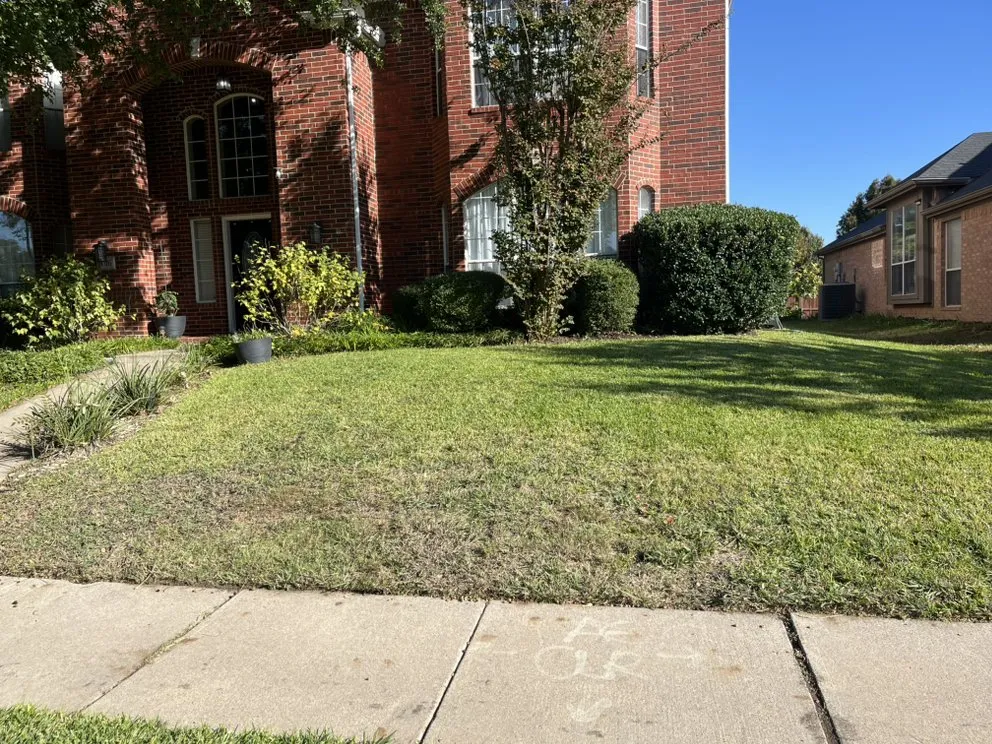 Local landscaping services in Dallas, TX - Clutch Services