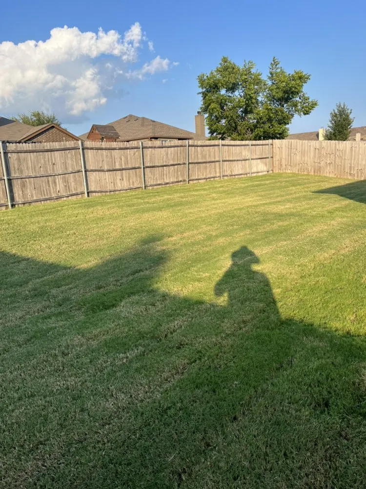 Affordable lawn care service experts serving Dallas, TX - Clutch Services