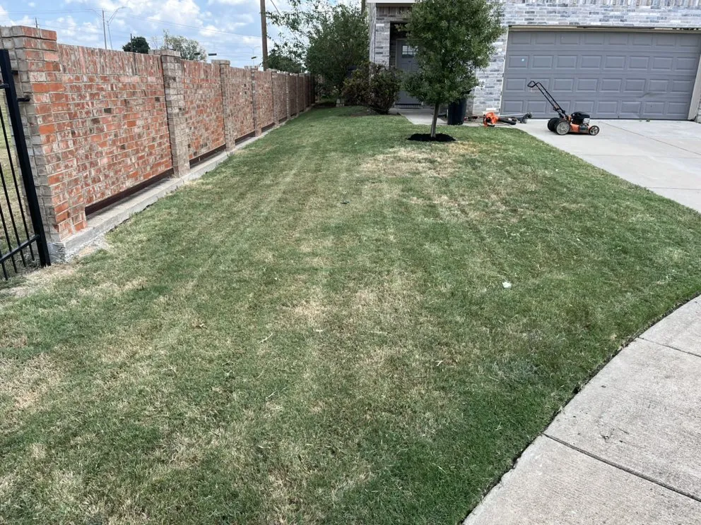 Affordable landscaping services in Dallas, TX - Clutch Services