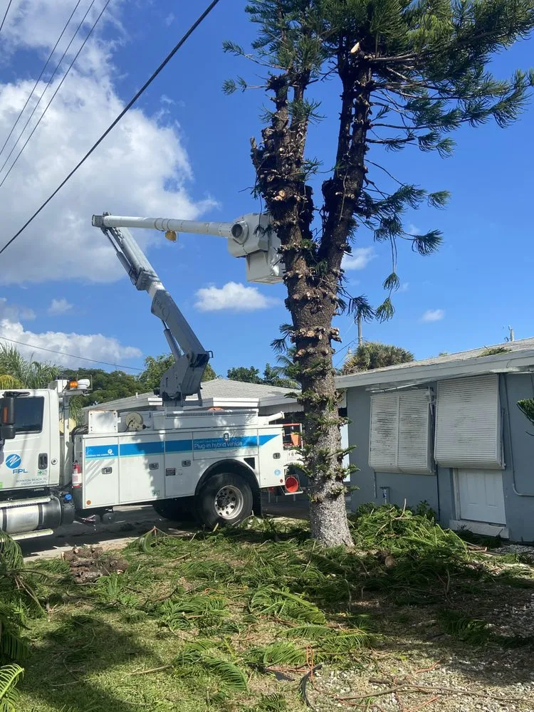 Professional outdoor landscaping in Lantana, FL by Clutch Solutions