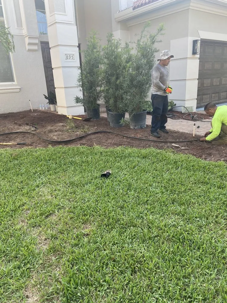Local landscaping services for outdoor upgrades across Lantana, FL - Clutch Solutions