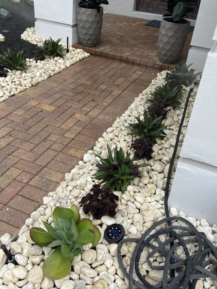 Expert yard cleanup service for year-round maintenance in Lantana, FL by Clutch Solutions