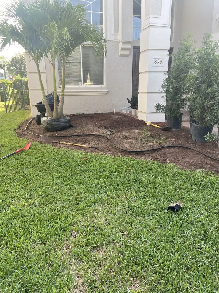 Affordable landscaping services in Lantana, FL - Clutch Solutions