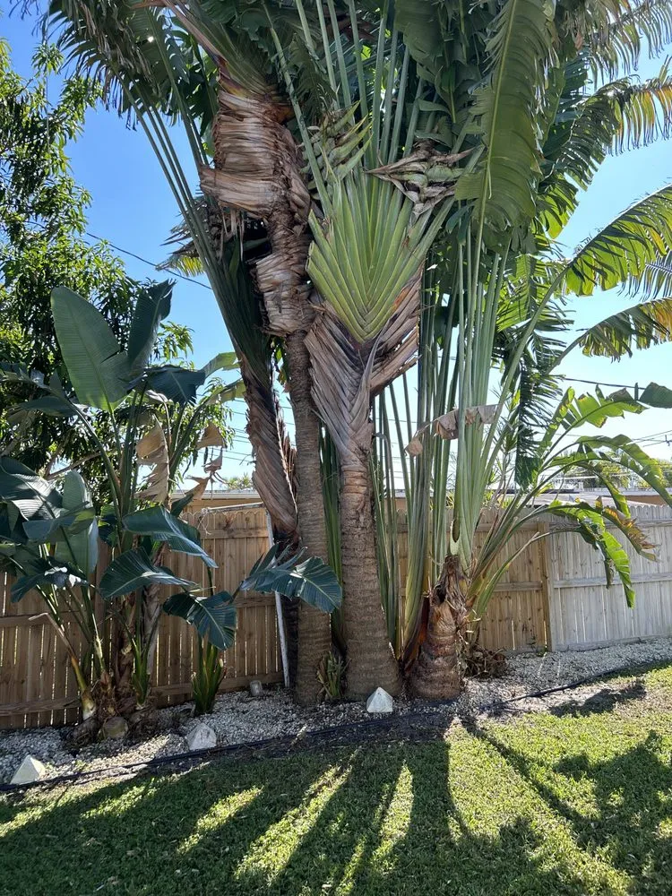 Expert lawn mowing service for homes across Lantana, FL - Clutch Solutions