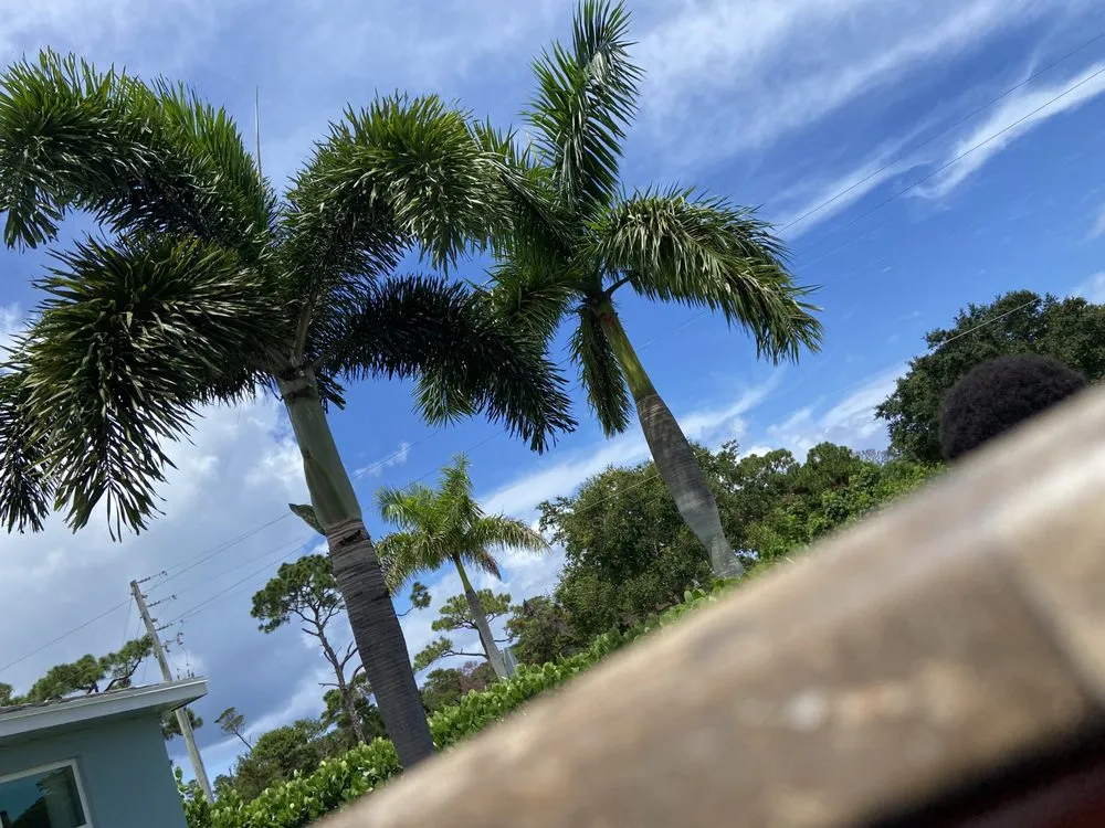 Top-rated outdoor landscaping for residential properties across Lantana, FL - Clutch Solutions