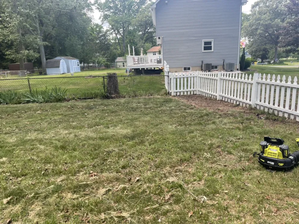 Expert yard cleanup service in Glen Burnie, MD by Clutchs Lawn Services