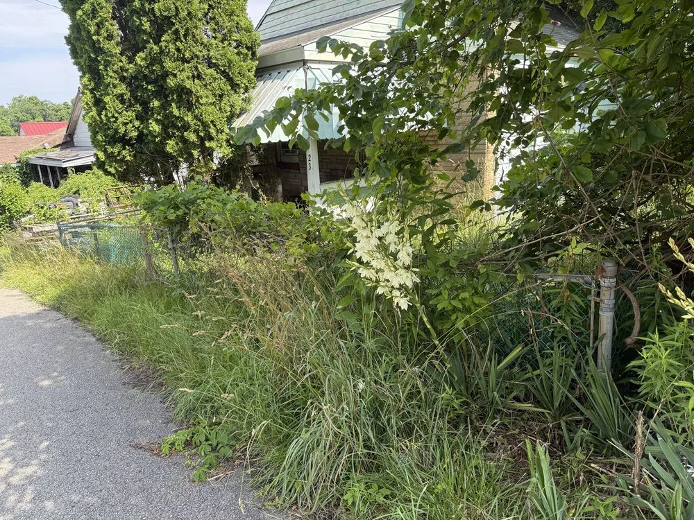 Affordable landscape installation for residential properties in Claysville, PA by Clutter