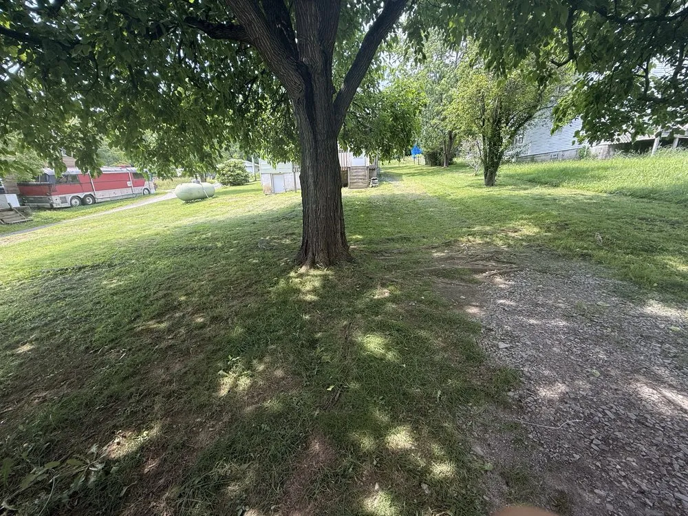 Professional lawn care service in Claysville, PA by Clutter