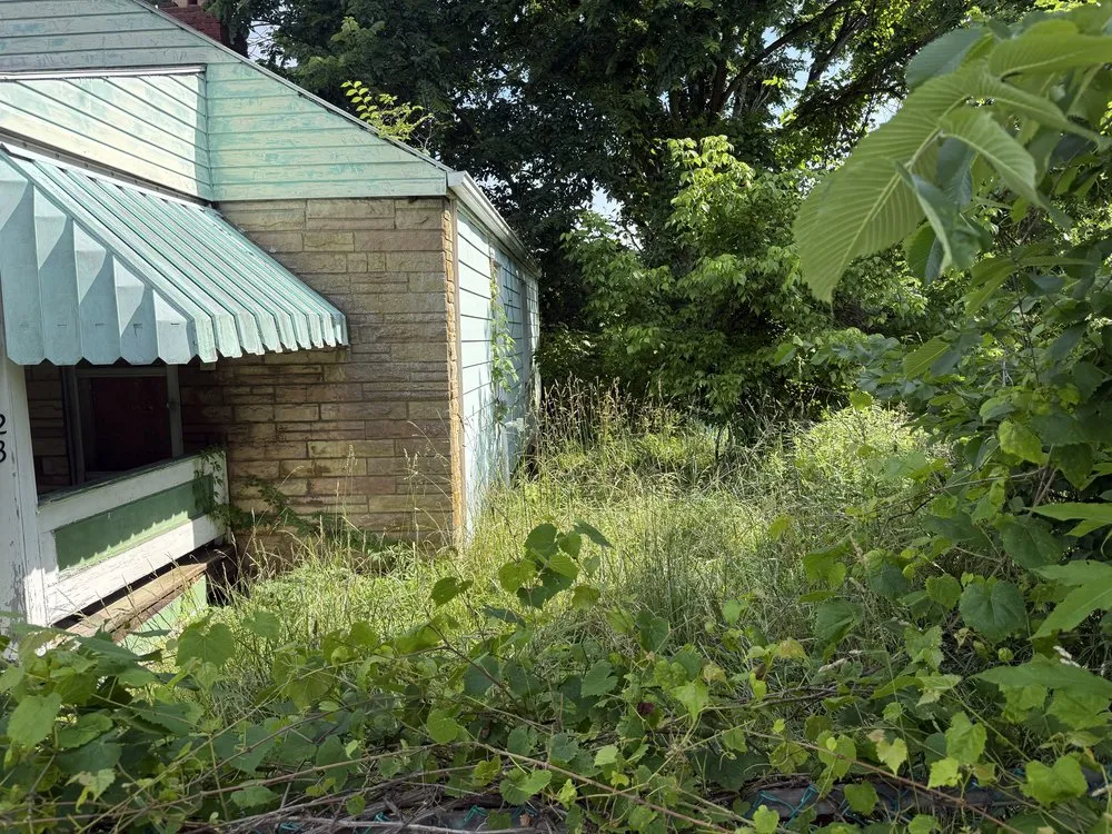 Custom yard cleanup service in Claysville, PA - Clutter