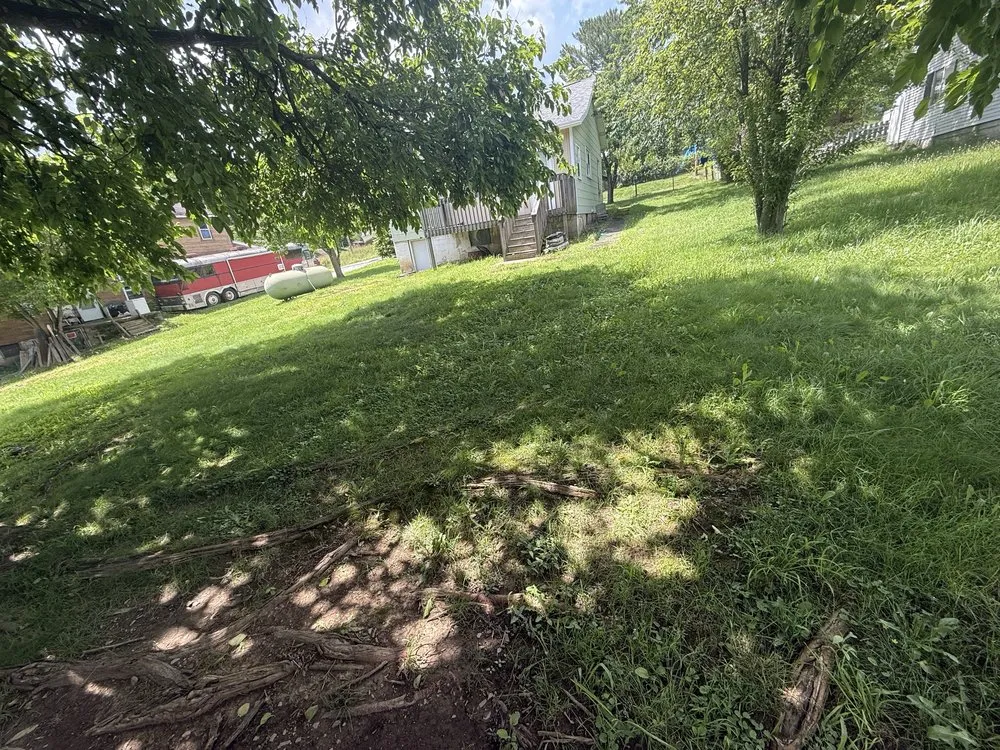 Affordable lawn care service for homes in Claysville, PA by Clutter