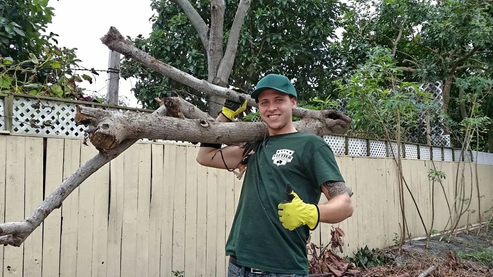 Professional lawn care service experts serving West Palm Beach, FL - Clutter Commandos