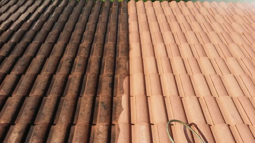 Local landscaping services for homes across West Palm Beach, FL - Clutter Commandos