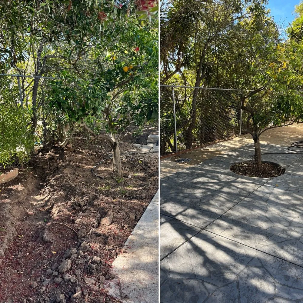 Professional landscape design in Santa Maria, CA - CLV landscape