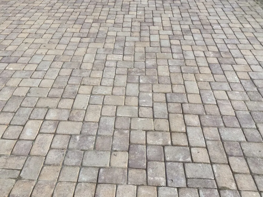 Top-rated yard cleanup service in Santa Maria, CA by CLV landscape