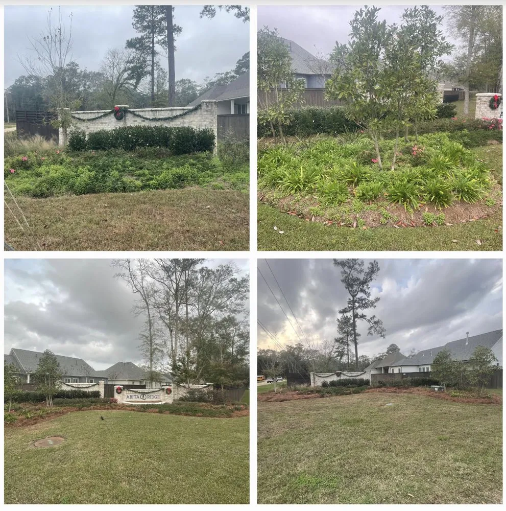 Affordable yard maintenance near you across Covington, LA - CLW Landscaping