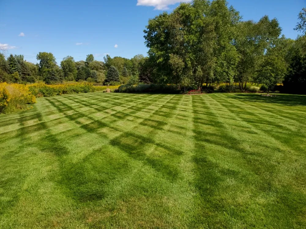 Local landscape installation for year-round maintenance in Grand Blanc, MI by CLW Precision Lawns & Paint