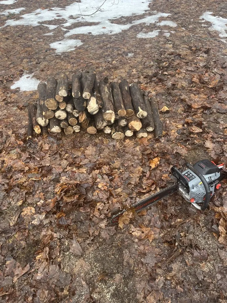 Affordable yard cleanup service for homes in Cedar, MI by Clydes Landscaping