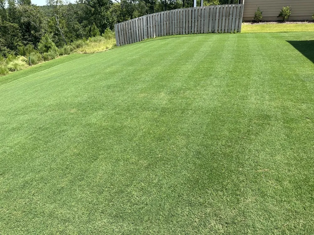 Affordable yard cleanup service in Grovetown, GA - Clydesdale Lawn Consulting