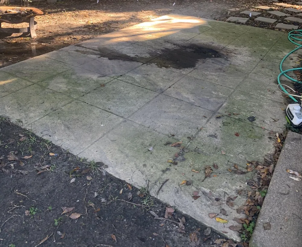 Professional outdoor landscaping experts serving Pascagoula, MS - C&M - Indoor And Outdoor Cleaning Services