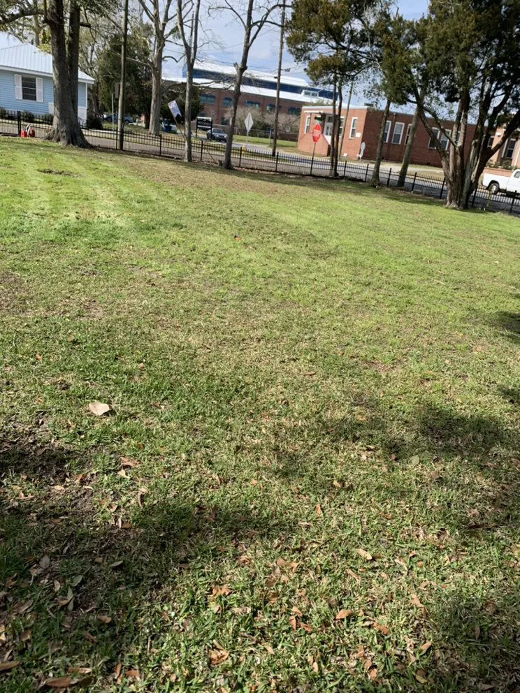 Affordable garden landscaping experts serving Pascagoula, MS - C&M - Indoor And Outdoor Cleaning Services